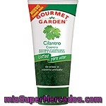 Tubo Cilantro Gourmet Garden 80 Gramos