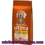 Ultima Adult Rico En Buey Y Arroz Para Perro De Raza Mediana Y Grande Envase 12 Kg