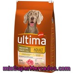 Ultima Adult Rico En Buey Y Arroz Para Perro De Razas Medianas Y Grandes Envase 7,5 Kg