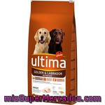 Ultima Golden Y Labrador Retriever Alimento Especial Con Pollo Bolsa 14 Kg