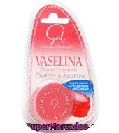 Vaselina Neutra Perfumada Gal 15 G.