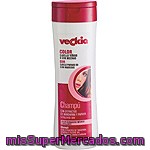 Veckia Champú Color Con Extracto De Mandarina Y Papaya Y Filtro Uv Para Cabello Teñido Frasco 400 Ml