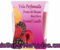 Vela Vaso, Perfumada Aroma Frutas Del Bosque Velas Martínez Morales 1 Unidad