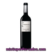 Vino D.o. Ribera Del Duero Tinto Crianza Torremorón 75 Cl.