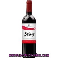 Vino D.o. Ribera Del Guadiana Tinto Cinco Viñas 75 Cl.