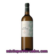 Vino D.o. Rueda Blanco Sauvignon Blanc José Pariente 75 Cl.