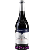 Vino Tinto De La Tierra De Castilla 