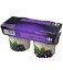 Yogur Con Moras Carrefour Pack 2x150 G.