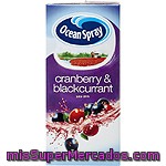 Zumo De Arándano Y Grosella Ocean Spray 1 L.